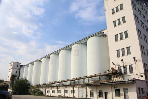 南方面粉廠拆除收尾，工業遺產煥新啟程